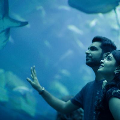 Dubai Aquarium and Underwater Zoo