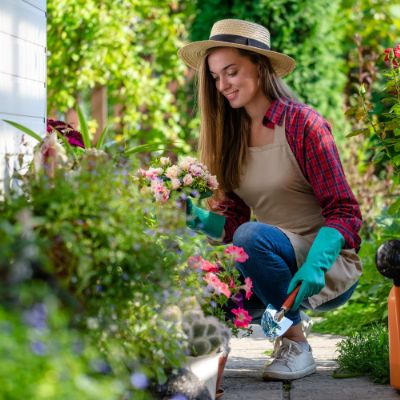 Home and garden maintenance