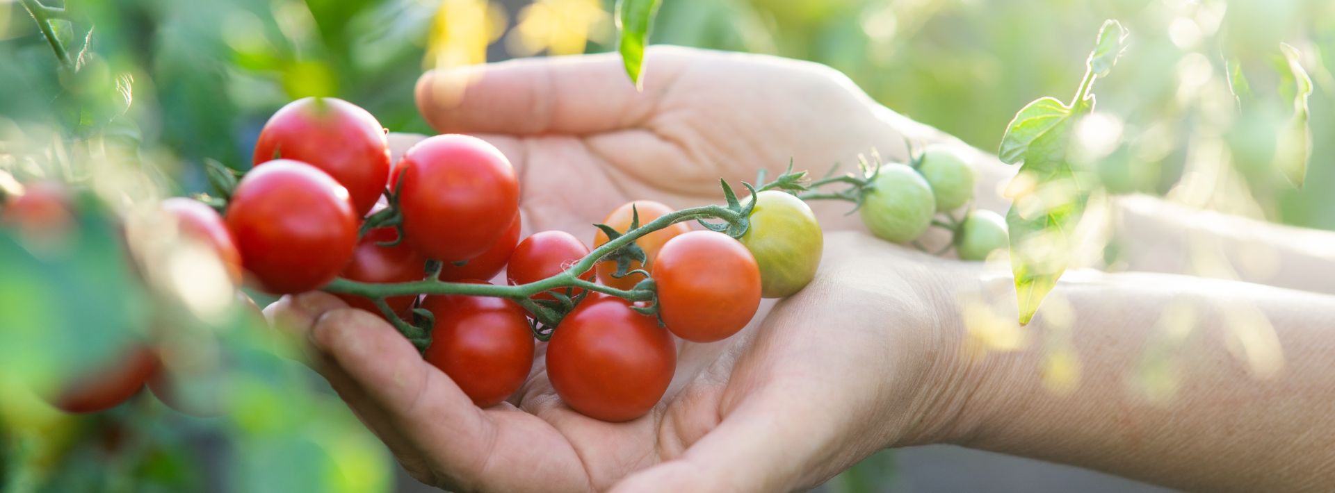 Home garden