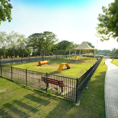 A Dog Park Is On Its Way