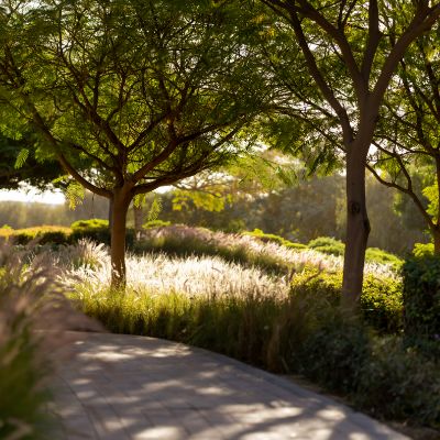 Walking trails