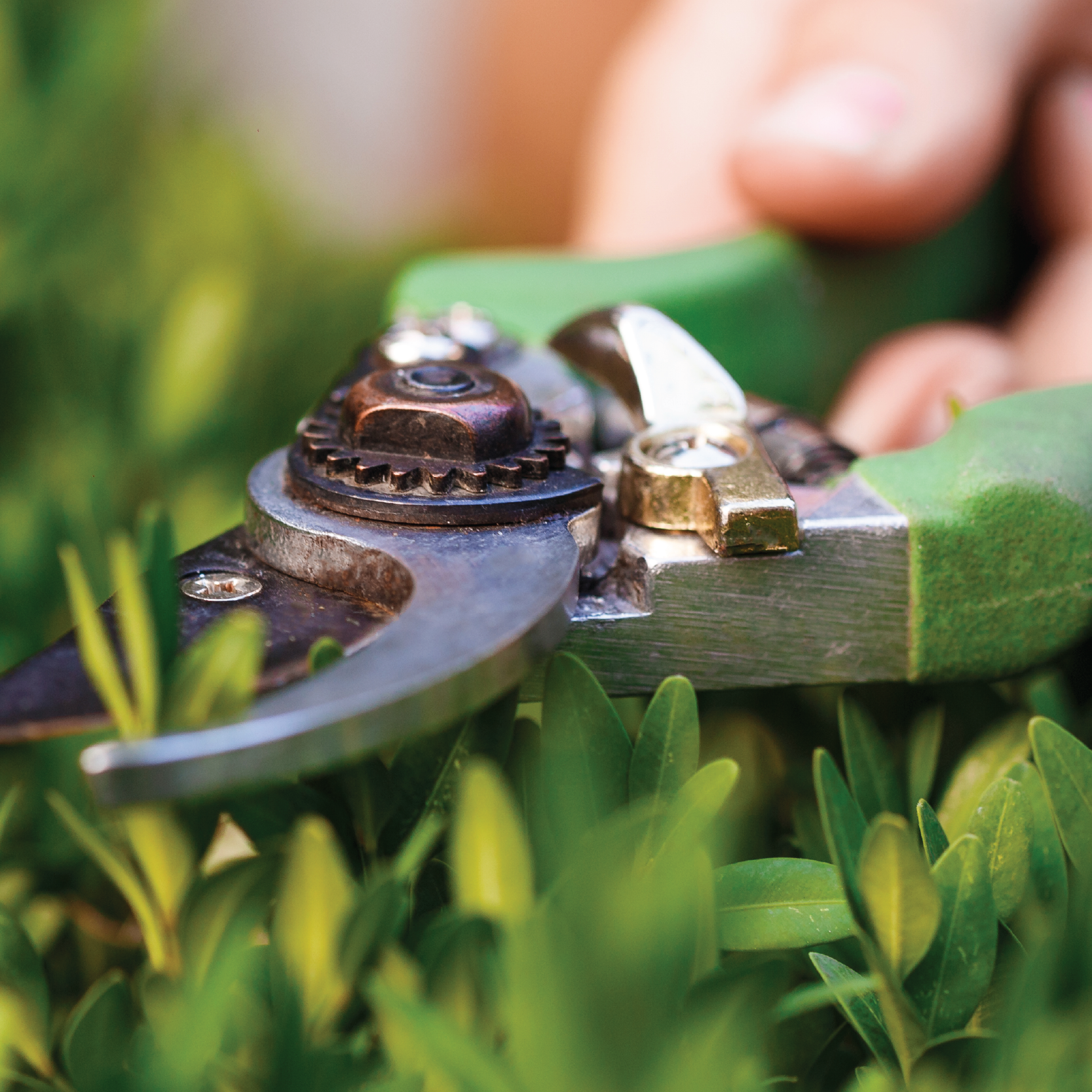 Nurturing your outdoor haven